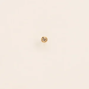 Wouters&Hendrix – 18K gouden single stud met wit diamant