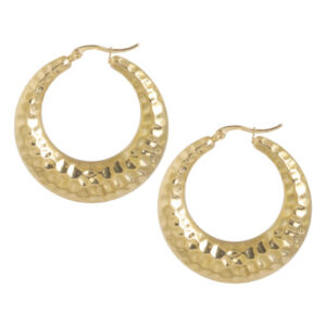 EB - gehamerde creolen (4,3cm)