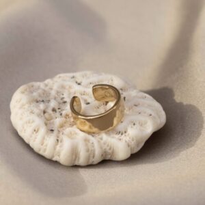 EB - earcuff signature