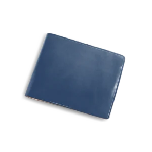 IB - portefeuille blauw