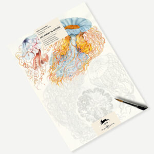 Kleurboek - Art Forms in Nature