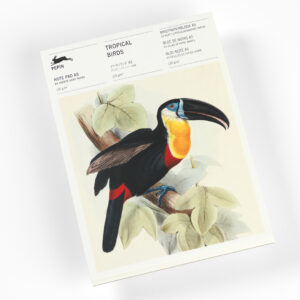A5 - notablok Tropical Birds