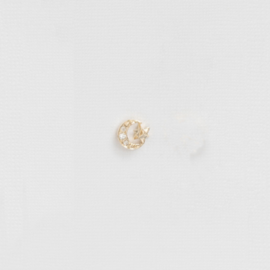 Céline D'aoust - 14K gouden single stud maan met diamanten